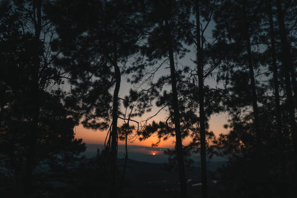 istock On the hill,Mountain forest view in the evening 1291546693