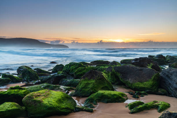 istock Sunrise seascape with light cloud, waves and rocks 1291546817