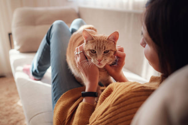 istock Young woman resting with pet in sofa at home. 1291553871