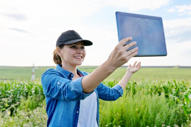istock Woman agronomist farmer working with digital tablet in corn field 1291554261