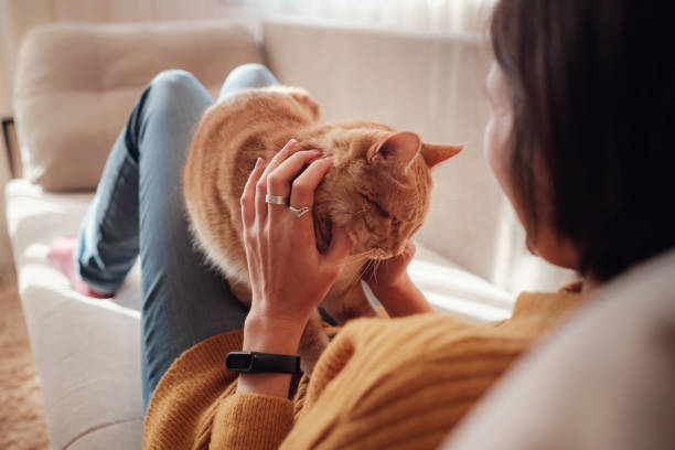 istock Young woman resting with pet in sofa at home. 1291555283