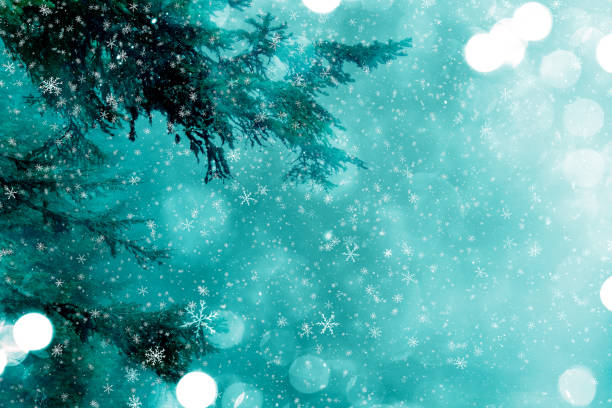 istock Christmas tree new year 2021 noel background 1291561784