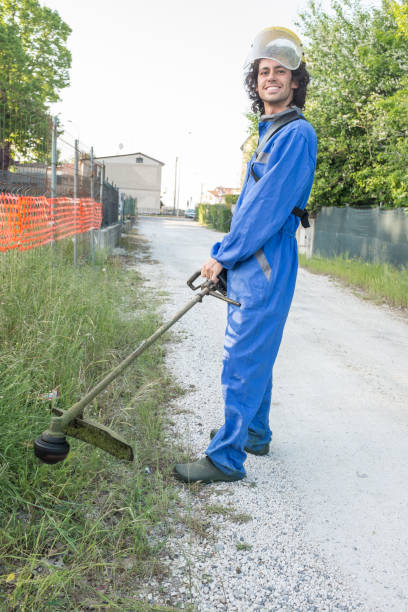 istock man cutting the grass with overalls and protective visor 1291564608