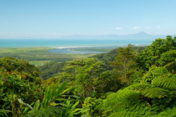 istock Daintree River And Rainforest, North Queensland, Australia 1291565318