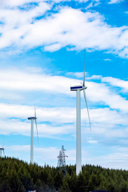 istock The wind turbines are under the blue sky 1291565474