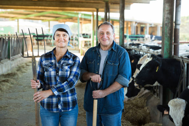 istock Successful owners of dairy farm 1291571176