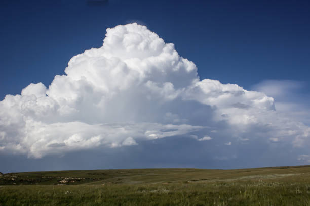 istock Summer clouds over the Free State Plato 1291574022