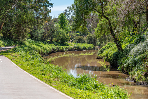 A calm tranquil scene of Merri Creek flowing through the suburbs of Melbourne Australia