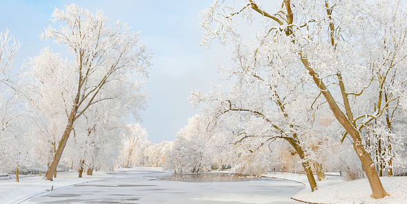 Winter beautiful panorama with trees covered by hoarfrost