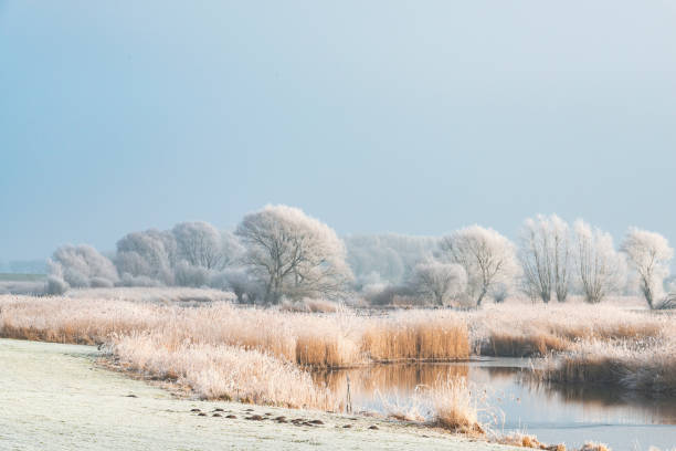 paesaggio invernale nel delta del fiume ijssel vicino a kampen, nei paesi bassi. - winter river foto e immagini stock