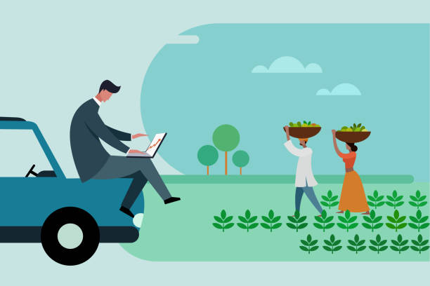 ilustrações de stock, clip art, desenhos animados e ícones de an agri business executive looks at is laptop when the farmers with their produce walking through the farm - india car people business