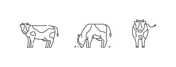 A set of simple cow icons A set of simple cow icons year of the ox stock illustrations