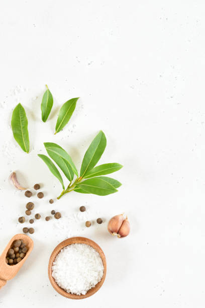 istock Fresh bay leaf, allspice and garlic 1291582590