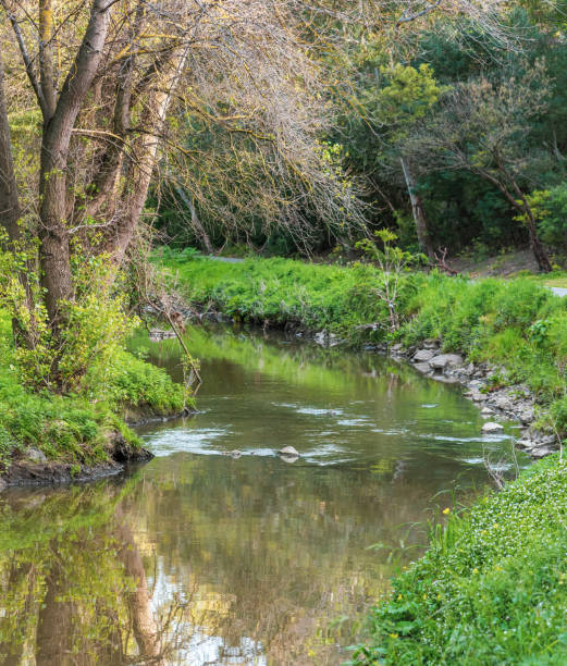 istock A calm tranquil scene of Merri Creek 1291582766
