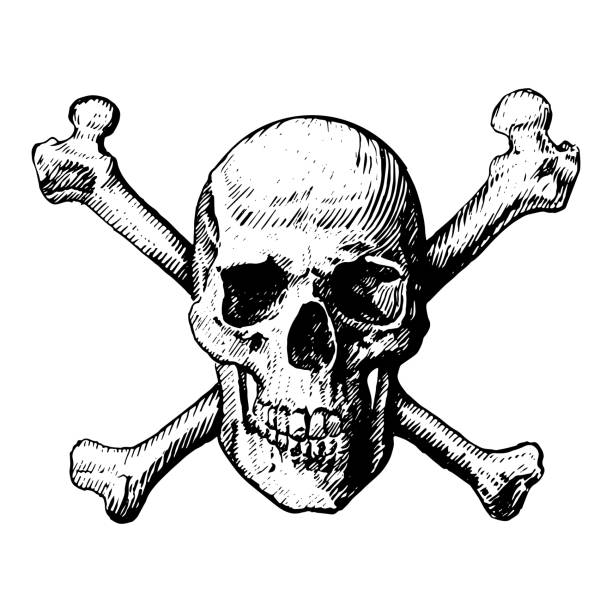 A skull and crossbones icon illustration like a pirates jolly roger sign. vector icon, isolated, on a white background A skull and crossbones icon illustration like a pirates jolly roger sign. vector icon, isolated, on a white background. monoprint stock illustrations