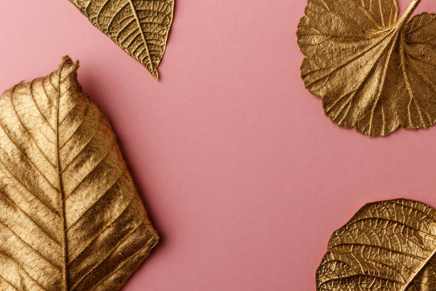 istock Golden Hazelnut, Poinsettia and geranium leaves. 1291586691