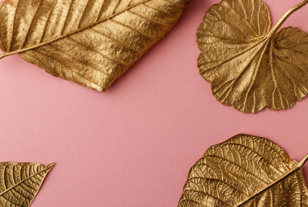 istock Golden Hazelnut, Poinsettia and geranium leaves. 1291586697