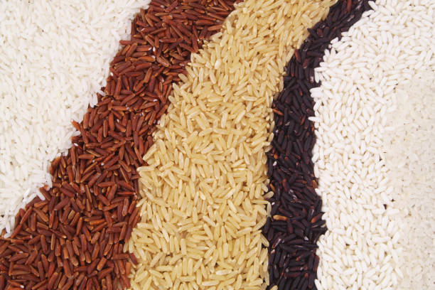 istock Different kinds of rice close up 1291588823