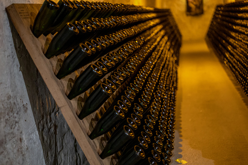 Champagne sparkling wine production in bottles in racks in dark underground cellar, Reims, Champagne, France