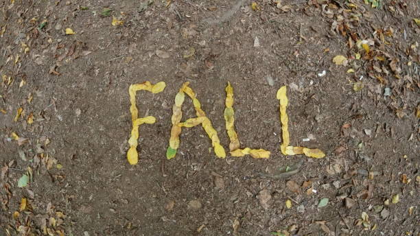 istock Fall word written with yellow leaves on the ground 1291603458