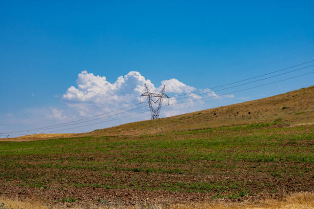 istock Electricity lines on the agricultural field 1291604454