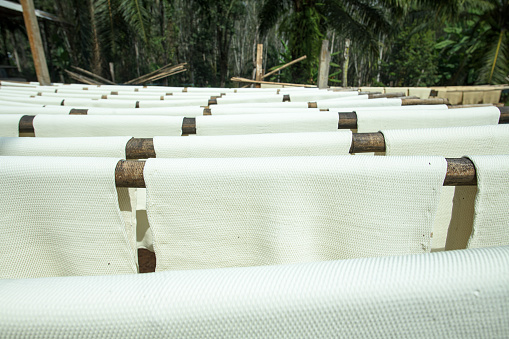 Rubber sheet has been made to rubber sheet to the rubber plant.