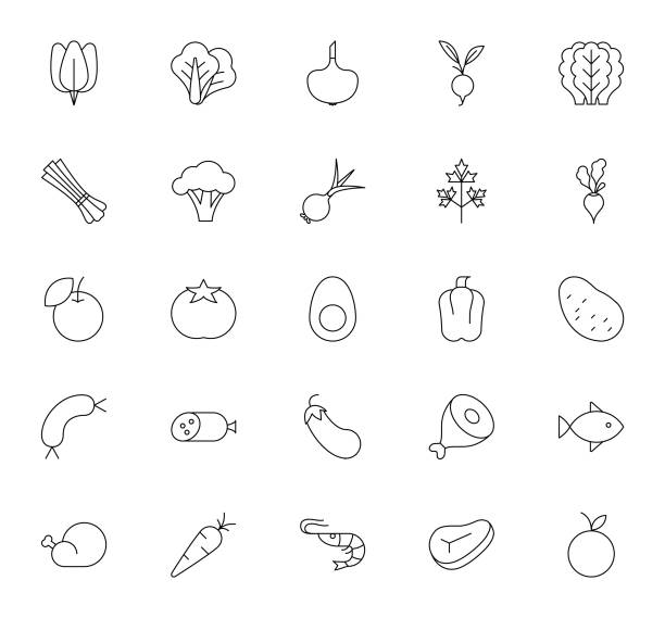 ilustrações de stock, clip art, desenhos animados e ícones de food and drinks files icon set - acelgas