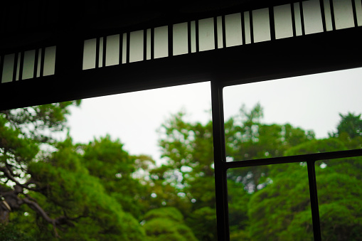 Edge landscape of the Japanese house. Shooting Location: Tokyo metropolitan area
