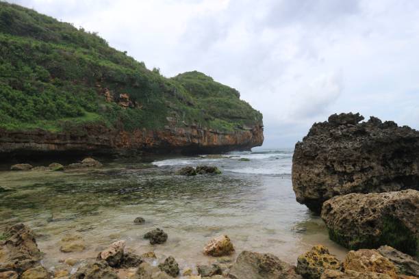 istock Beautiful Beach at Gunung Kidul 1291607233