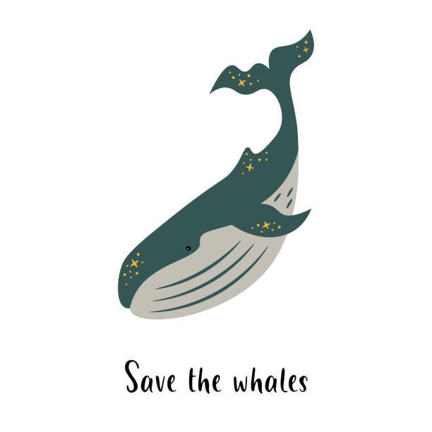 istock Vector illustration of the dreamy whale with stars. Save the whales theme. 1291608379