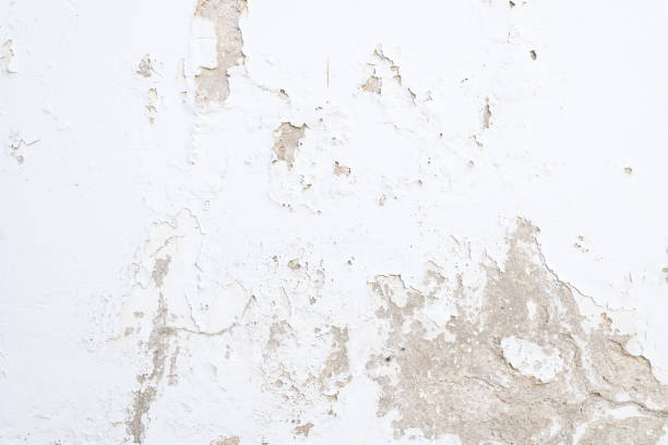 istock Closeup of texture mildewed walls 1291609113