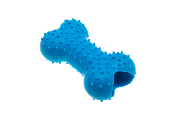 istock toy for dogs isolated 1291609174