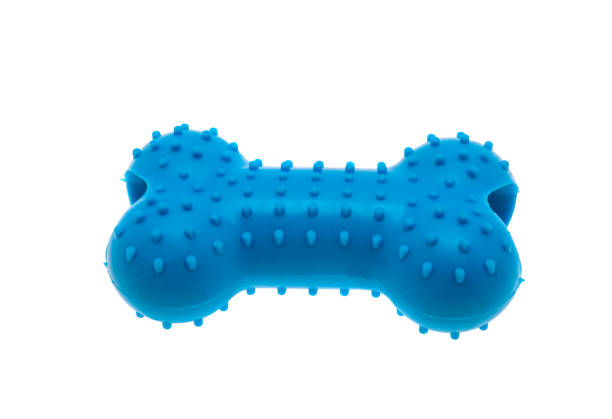istock toy for dogs isolated 1291609701