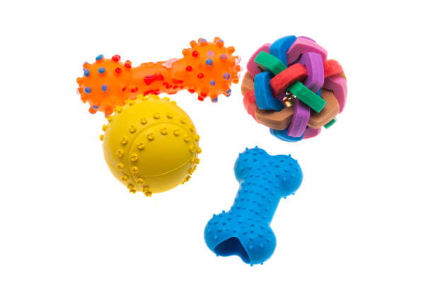 istock toys for dogs isolated 1291610347