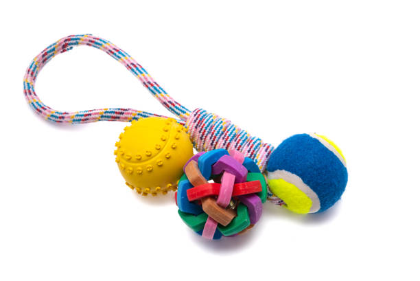 istock toys for dogs isolated 1291610364