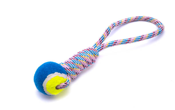 istock toys for dogs isolated 1291610372