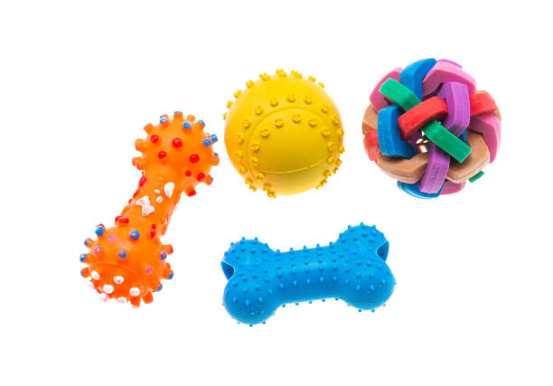istock toys for dogs isolated 1291610409