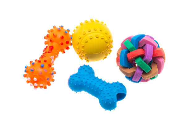 istock toys for dogs isolated 1291610441