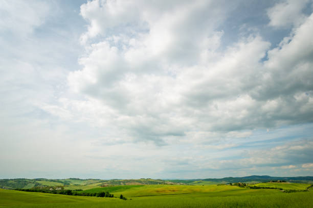 Beautiful Tuscany landscape with field of yellow canola flowers in Val d'Orcia, Italy