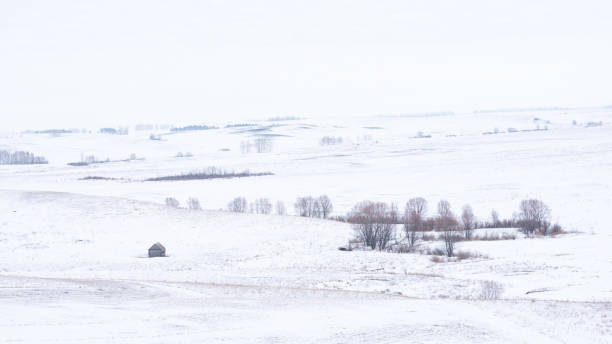 istock Winter rural icy snowy landscape. Fields with hills, trees and covered snow. 1291613122