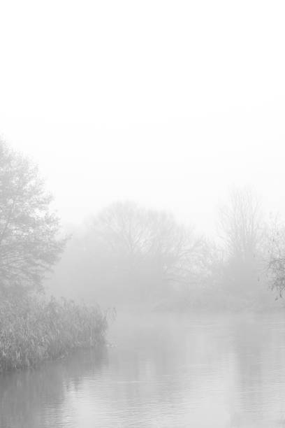 istock River in autumn fog 1291614802