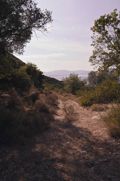 Greek landscape Landscape on a Greek island lurie stock pictures, royalty-free photos & images