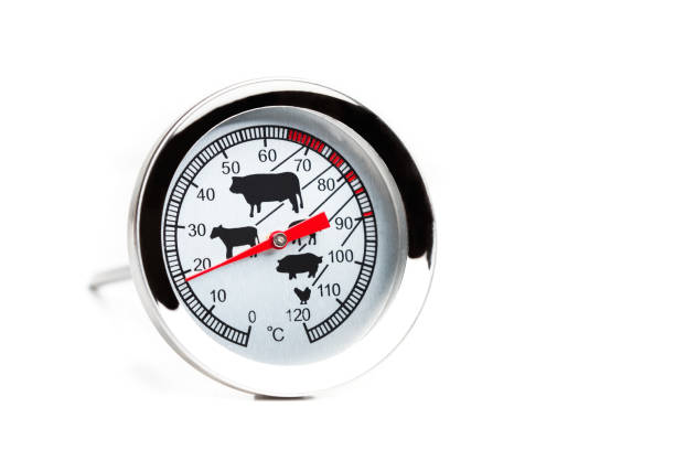 istock A meat thermometer isolated on a white background in a close up view 1291616074