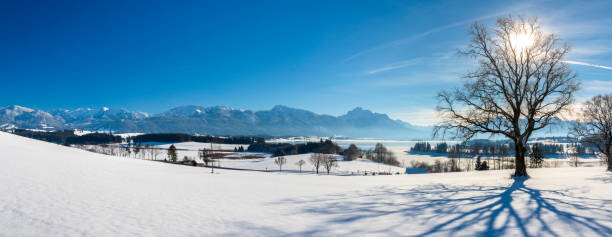 panoramic winter landscape in Germany, Bavaria, and alps mountain range panoramic winter landscape in Germany, Bavaria, and alps mountain range forggensee lake photos stock pictures, royalty-free photos & images