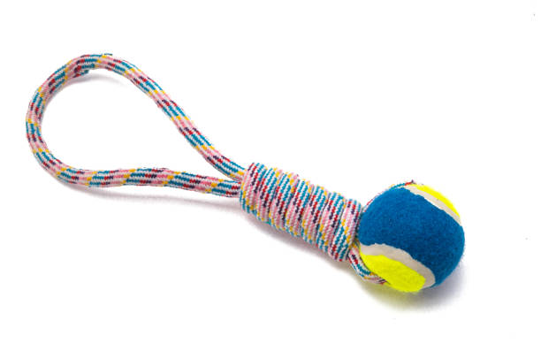 istock toys for dogs isolated 1291617390