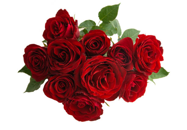 istock bouquet of red roses isolated 1291618813