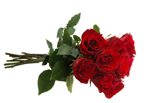 istock bouquet of red roses isolated 1291618840