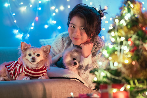 happiness joyful christmas holiday moment with asian cheerful female leisure relax hand cuddling her pet doggy in christmas event sitting on sofa in living room