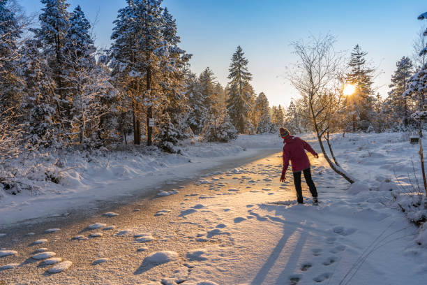 istock nice woman jumping from Joy in a tranquil winter landscape 1291622915