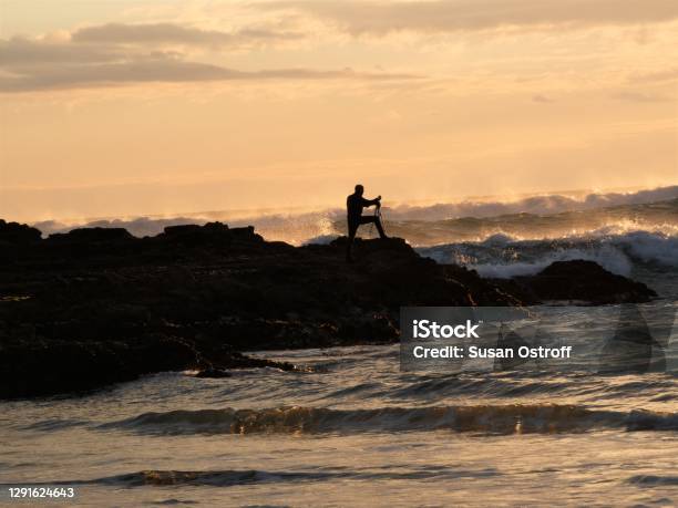 Bethells Beach New Zealand Stock Photo - Download Image Now - Bethells Beach, Auckland Region, Beach